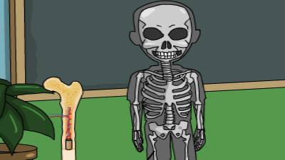 El marco de mi cuerpo - El esqueleto - Skoool.es